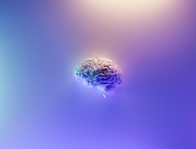 Enfants neuro-atypiques : un cerveau qui fonctionne différemment