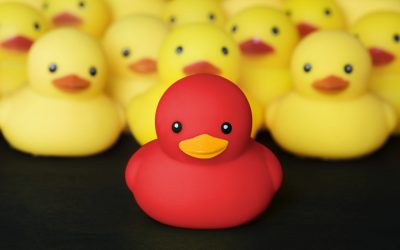 Diversité et inclusion : faire de sa différence une force